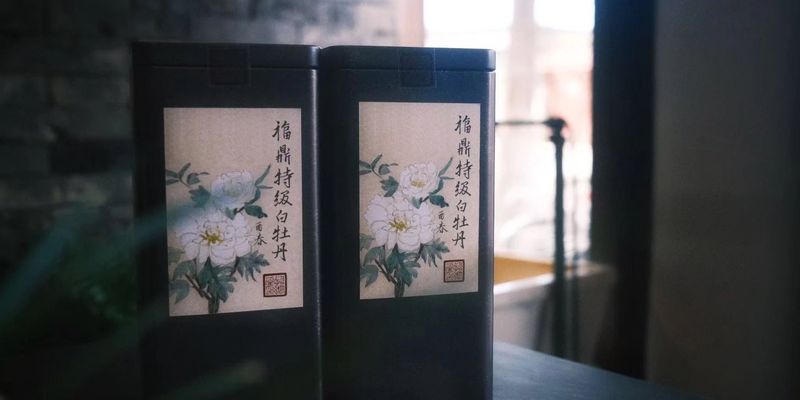 两罐白牡丹茶并排放在窗边,背景是砖墙与柔和的日光