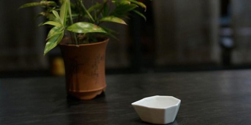 A small white octagonal porcelain scoop on a dark table beside a potted plant